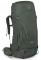 Herren Kestrel 58 Trekkingrucksack Bonsai Green