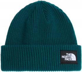 Salty Lined Beanie 