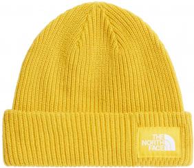 Salty Lined Beanie 